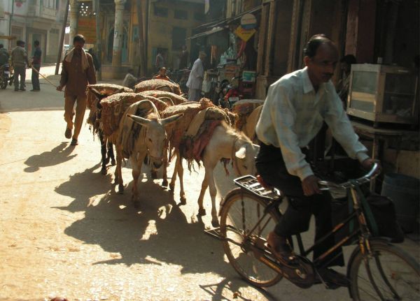 На улицах Матхуры. Индия, 2008